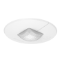 STEINEL IR QUATTRO MICRO DALI2 053871 IP 65 white / инфракрасный датчик присутствия потолочный, шт Steinel STEINEL IR QUATTRO MICRO DALI2 053871 IP 65 white / инфракрасный датчик присутствия потолочный, шт Steinel