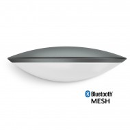 STEINEL L 825 SC 059903 IP 44 anthracite / matt светодиодный светильник с датчиком движения настенный уличны