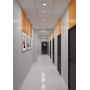 STEINEL Высокочастотный датчик присутствия Hallway DALI-2 IPD UP STEINEL Высокочастотный датчик присутствия Hallway DALI-2 IPD UP