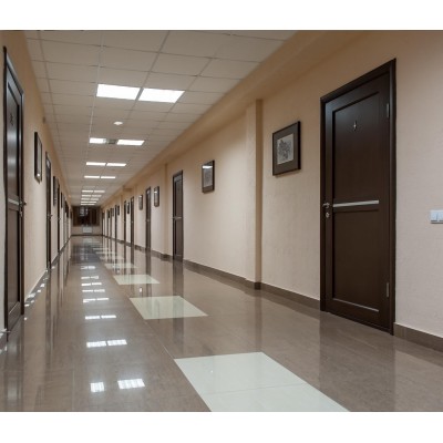 STEINEL Высокочастотный датчик присутствия Hallway DALI-2 IPD AP STEINEL Высокочастотный датчик присутствия Hallway DALI-2 IPD AP