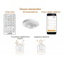 STEINEL Датчик присутствия PD-8 ECO COM1 AP white STEINEL Датчик присутствия PD-8 ECO COM1 AP white