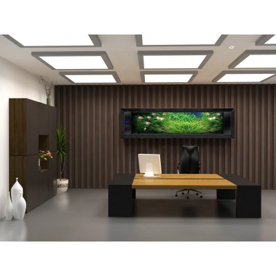 STEINEL Датчик присутствия Steinel PD-24 ECO KNX AP white STEINEL Датчик присутствия Steinel PD-24 ECO KNX AP white